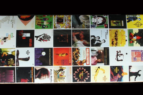 Hopps x Daptone Records Covers Deck 8.38  For Sale - Image 3